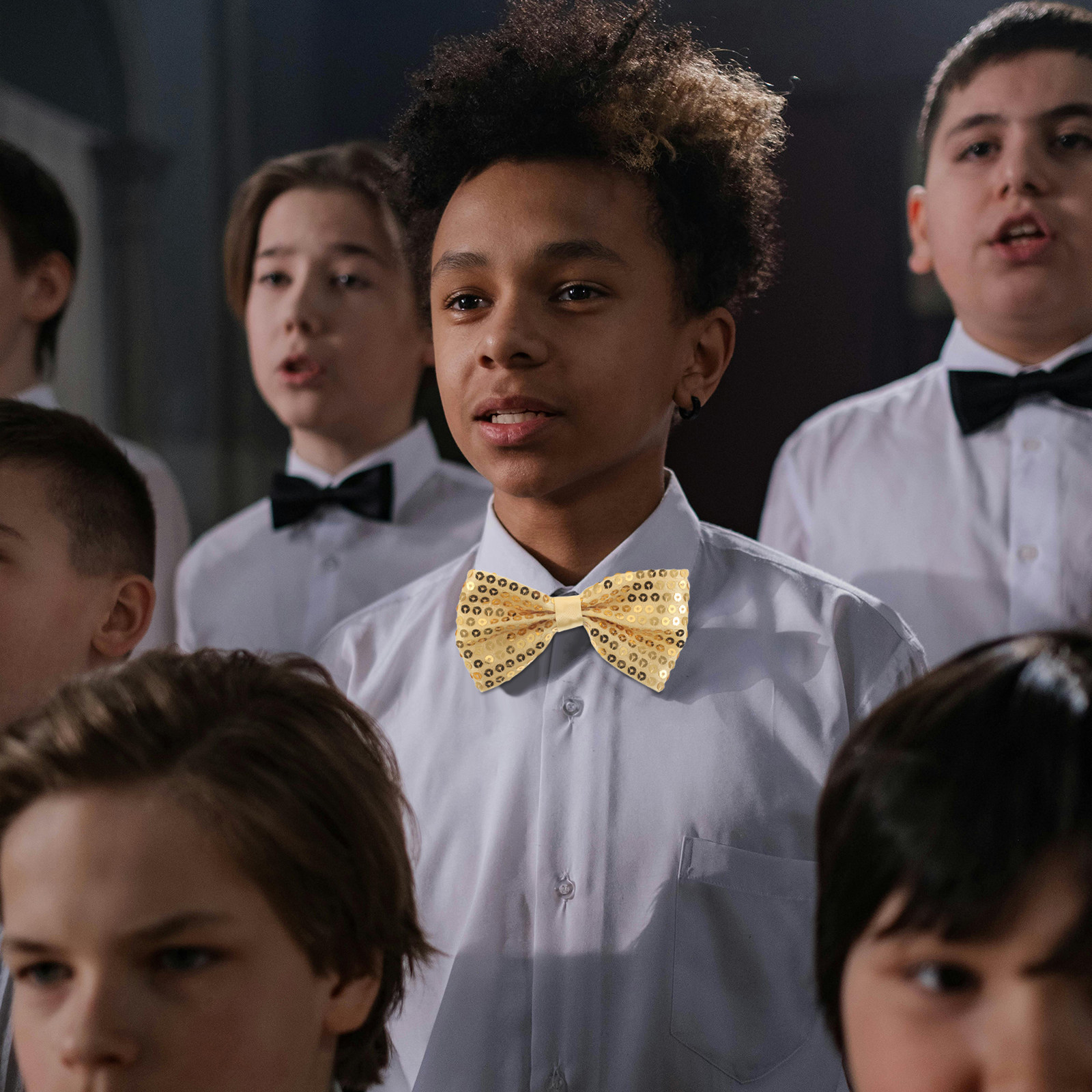 5 unidades de gravatas borbole - Bow Tie Pre Tied avaliação e preço